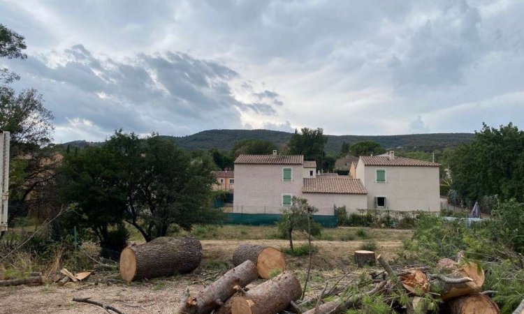 Travaux d'abattage d'arbres - Le Eguilles - GALVEZ Élagage